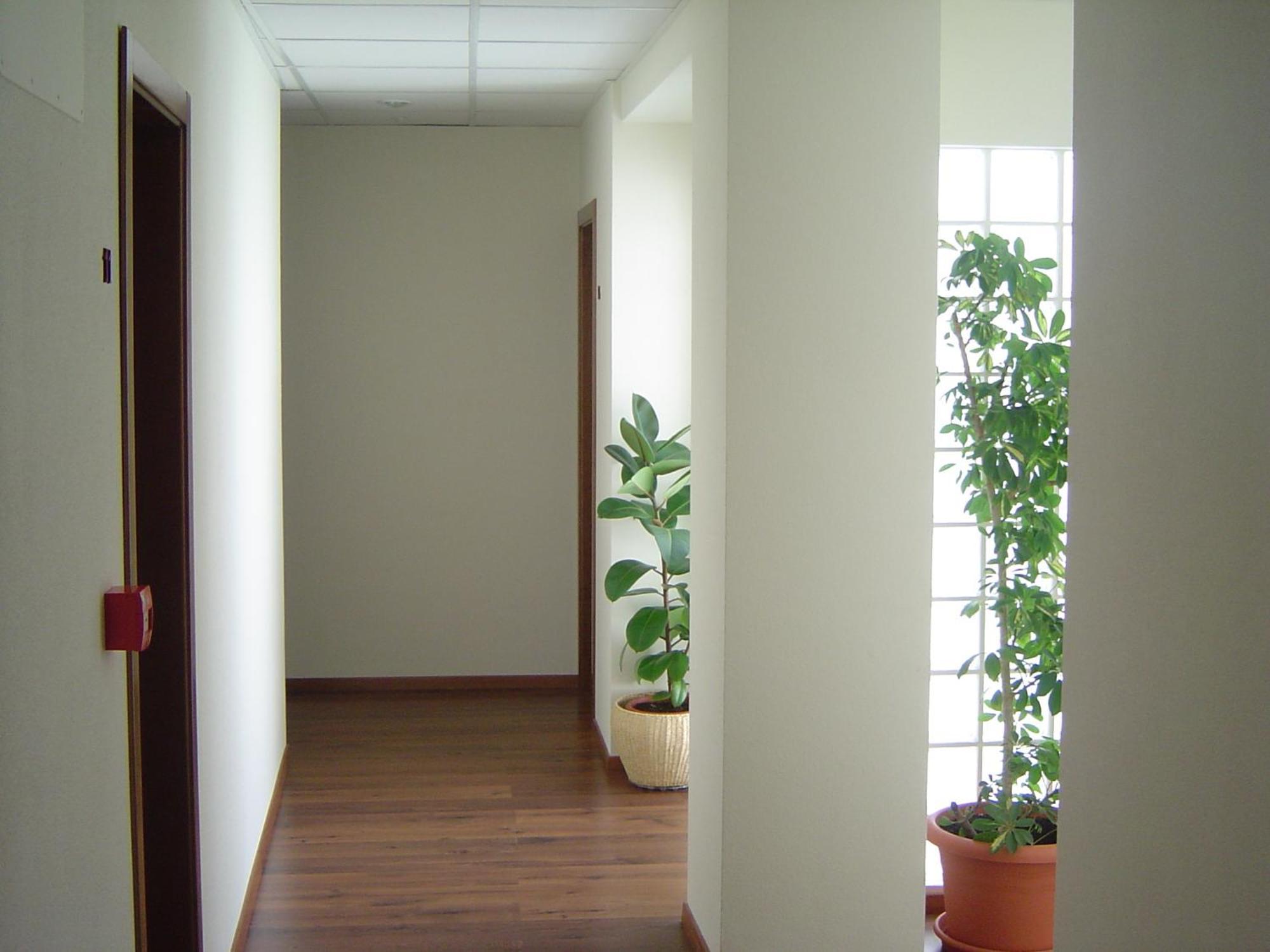 Hostal El Estudio Almansa Zewnętrze zdjęcie