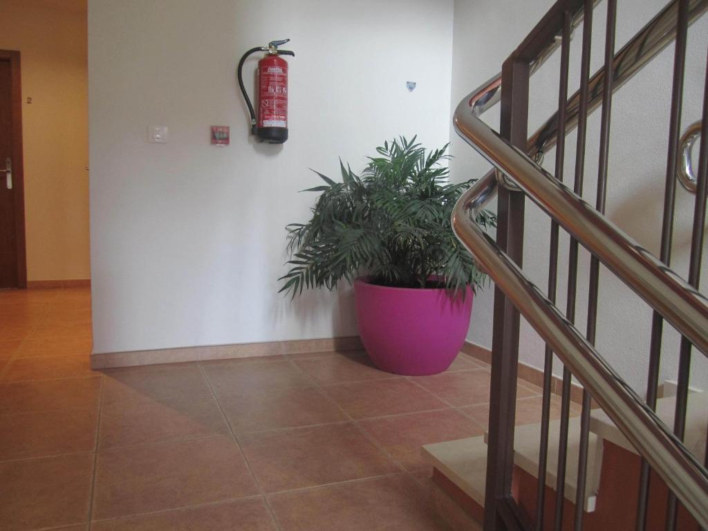 Hostal El Estudio Almansa Zewnętrze zdjęcie